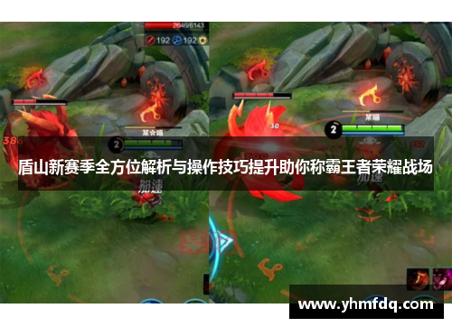 盾山新赛季全方位解析与操作技巧提升助你称霸王者荣耀战场