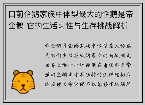 目前企鹅家族中体型最大的企鹅是帝企鹅 它的生活习性与生存挑战解析 目前企鹅家族中体型最大的企鹅是帝企鹅 它的生活习性与生存挑战解析